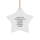 Funny Payroll Clerk Gifts for Christmas - I'm A Fairly Decent Payroll Clerk Star Ornament - Gifts from Friends and Family - Image 1